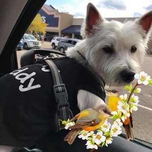 Meet your Posher, Pamela